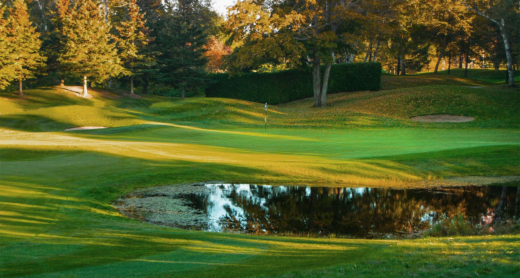 Aerial View of the course